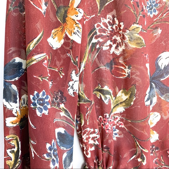 Fall Colored Sheer Zara Dress - Picture 3 of 12